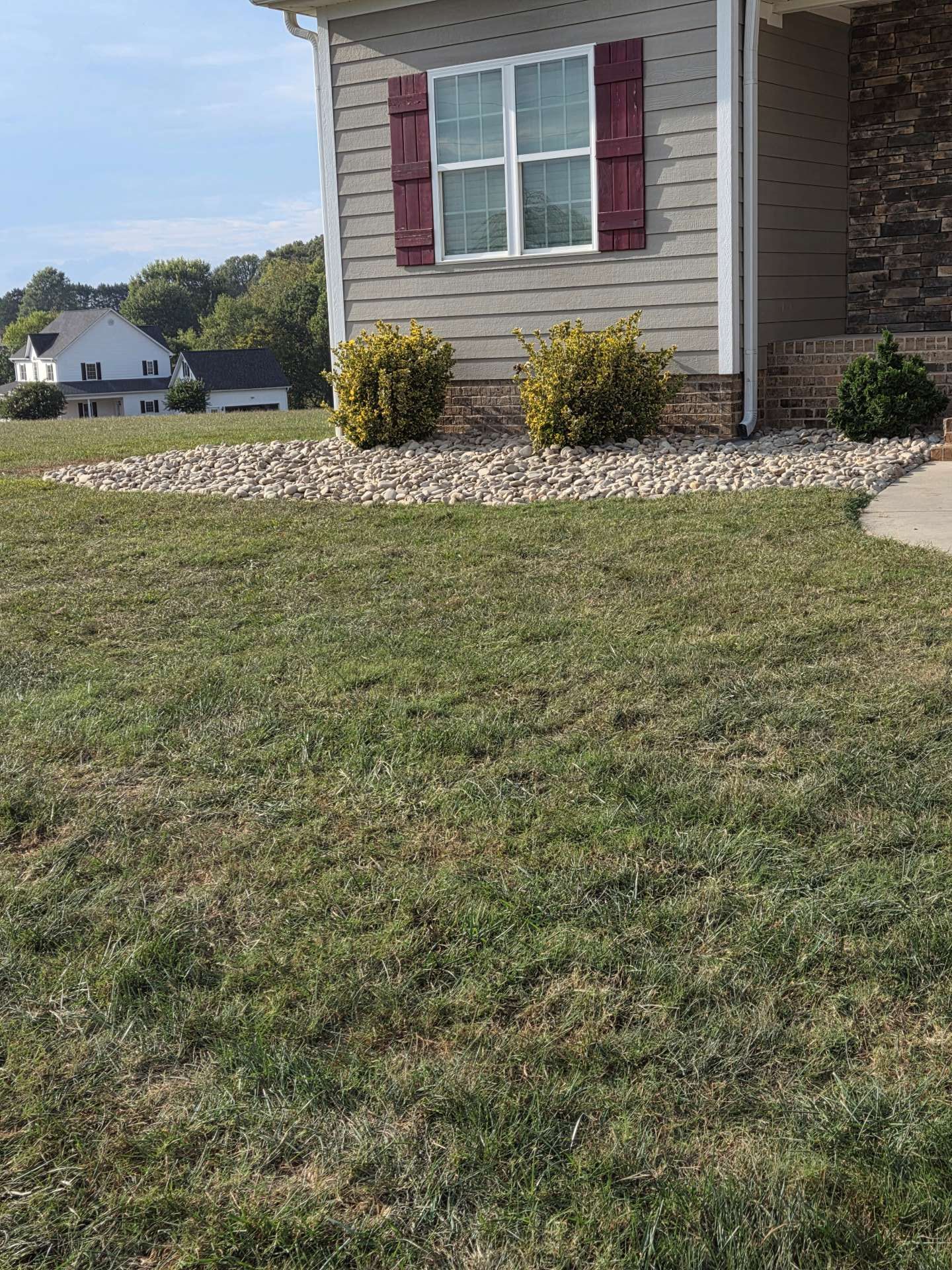 Front lawn with a house corner, maroon-shuttered window, and landscaped rock border under a sunny sky