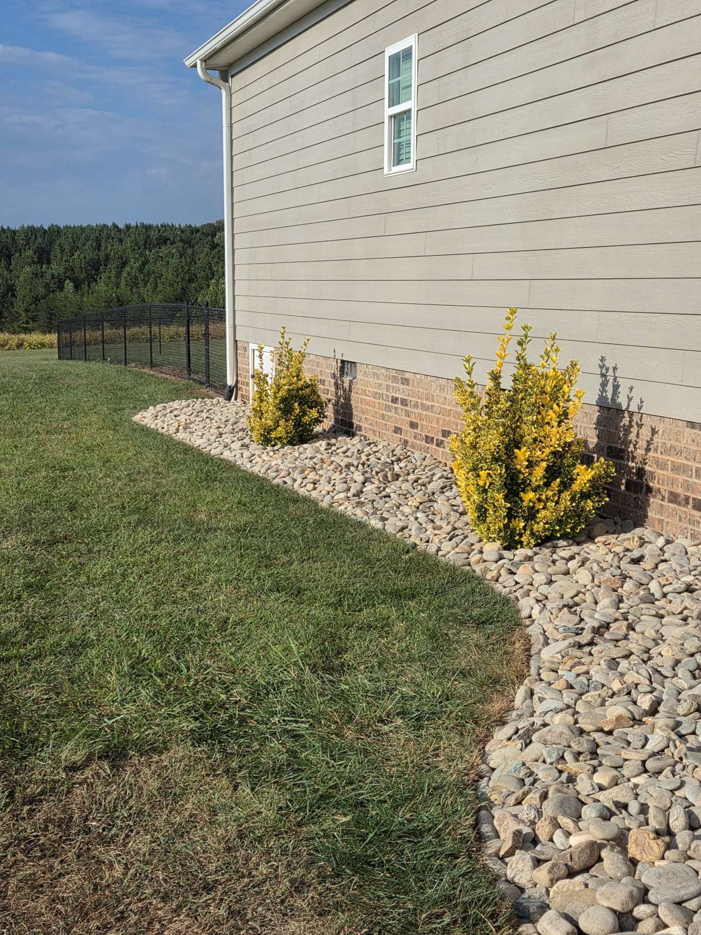 Side of a beige house with a gravel border, yellow shrubs, and a grassy yard under a blue sky.