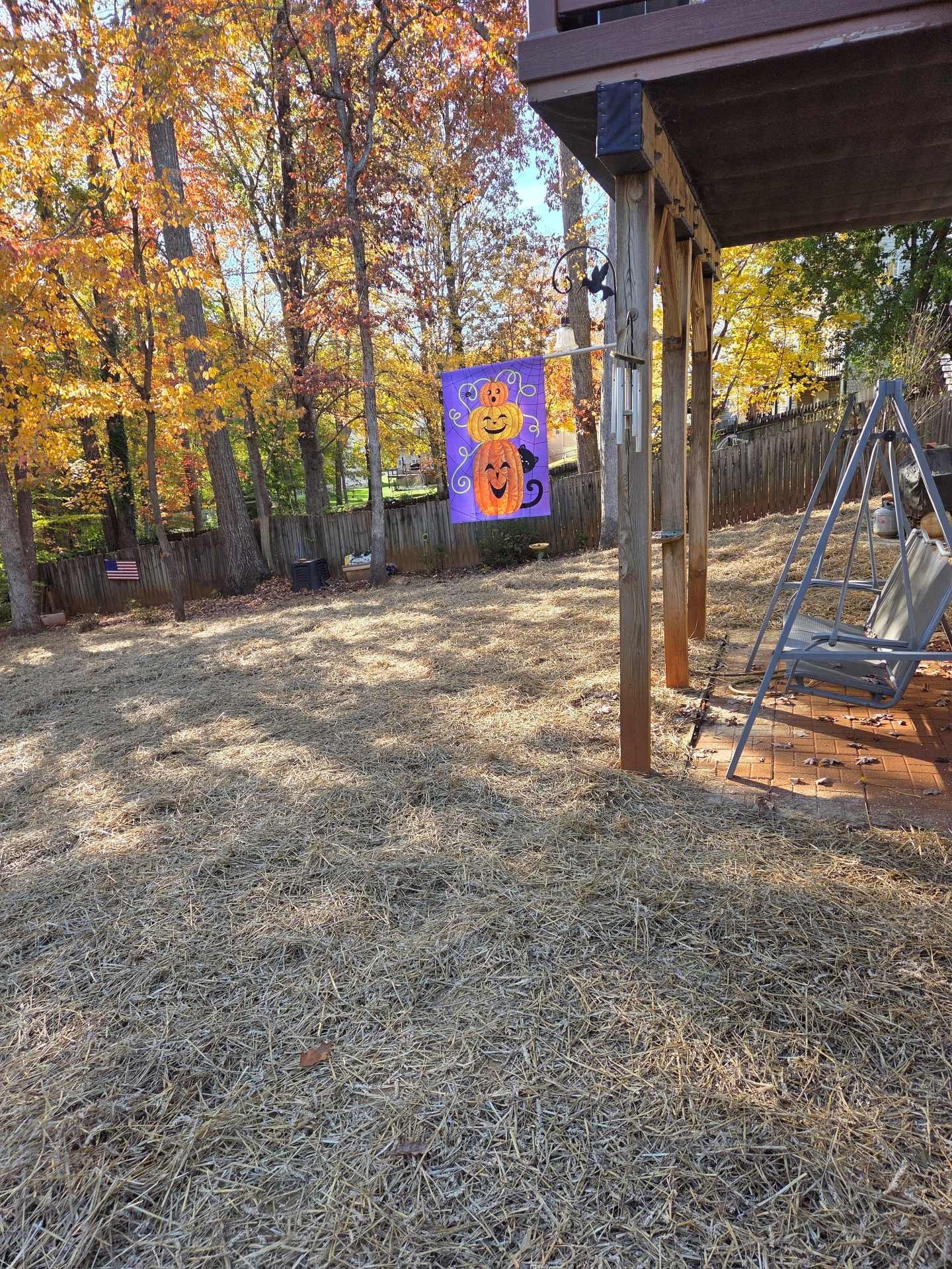 Autumn backyard with a purple Halloween decoration hanging near a wooden porch and swing set