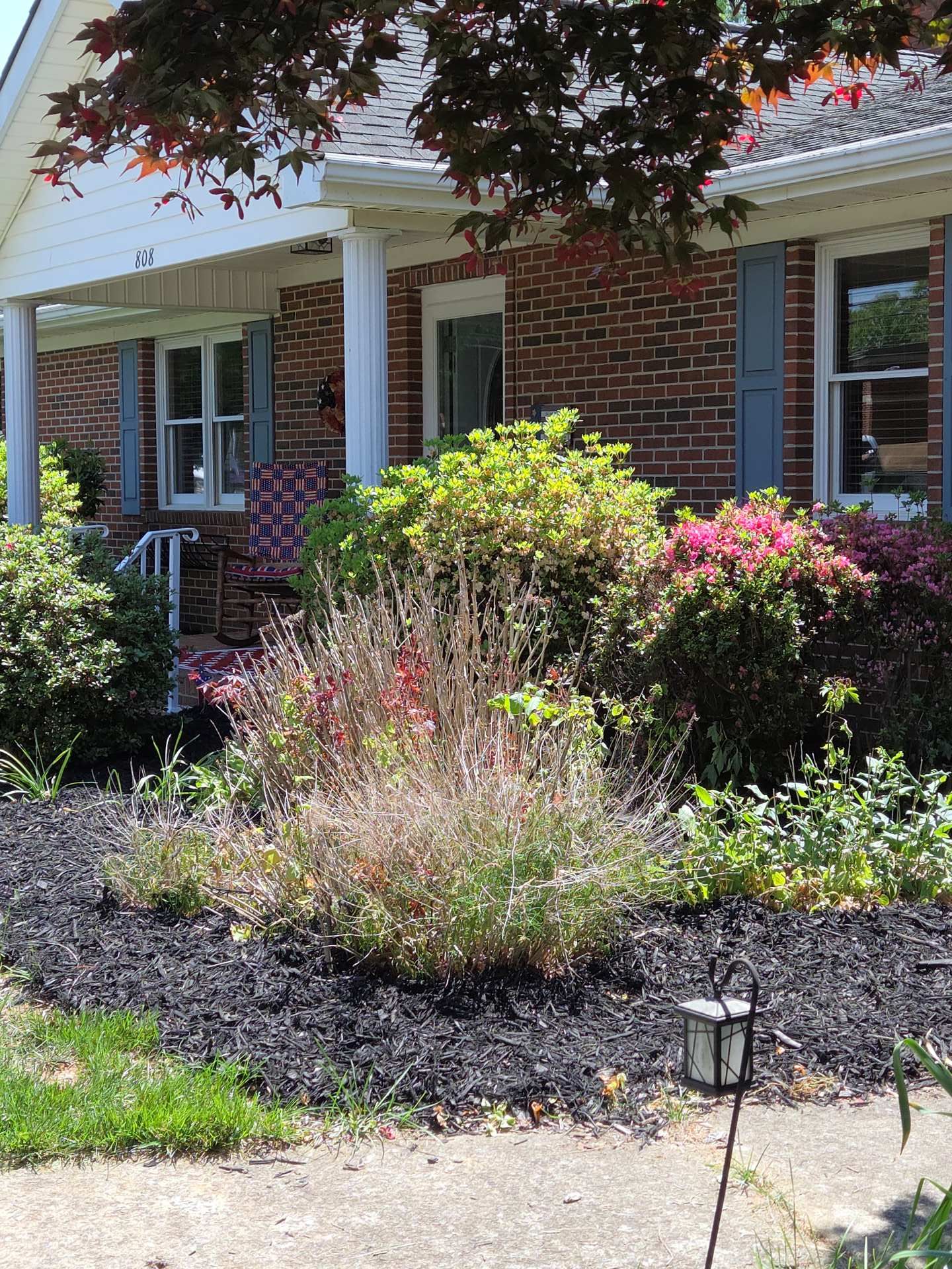 Brick house front garden with shrubs, flowers, and a walkway under leafy tree shade