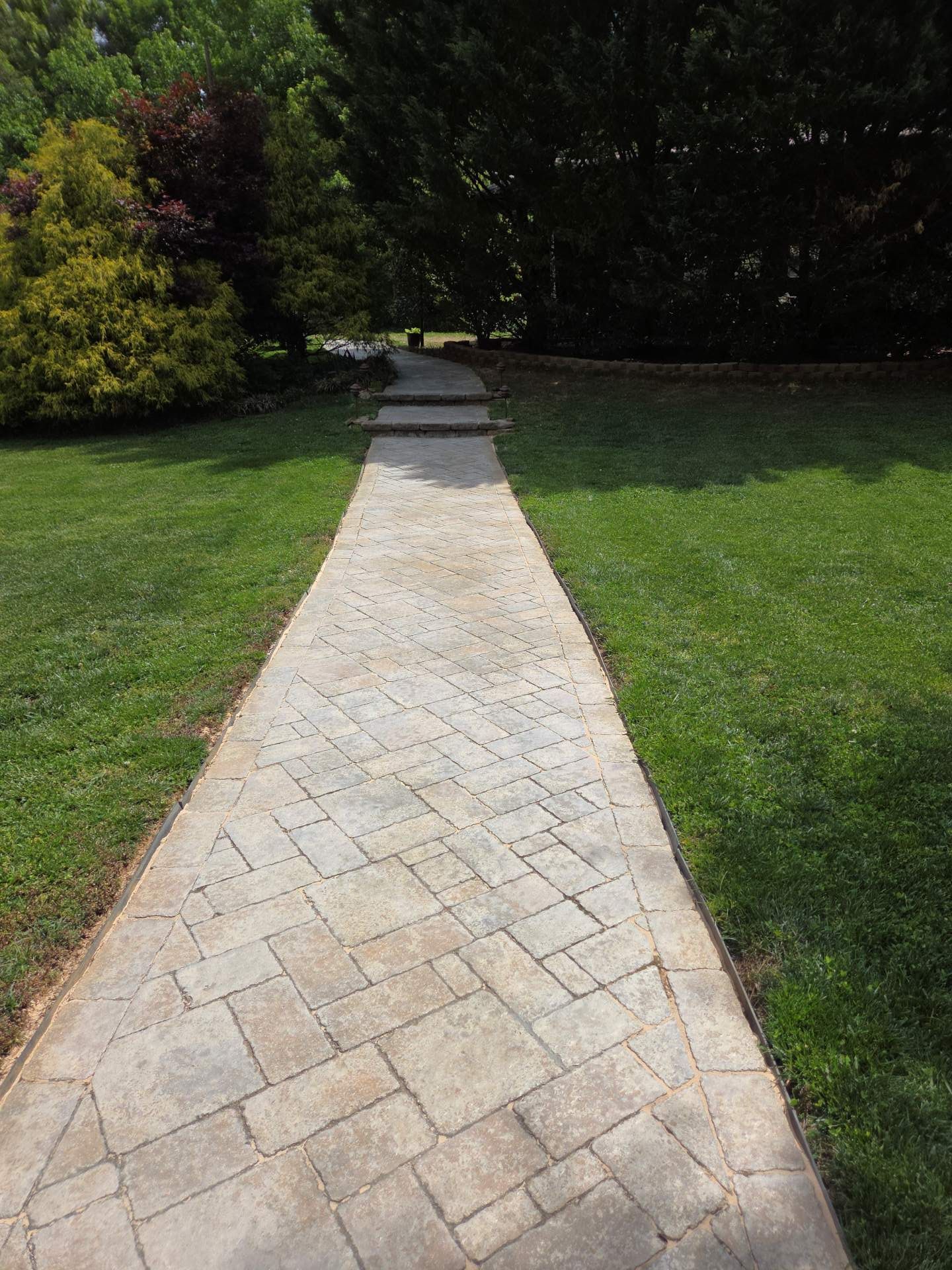 Stone path through green lawn leading into a shaded wooded area