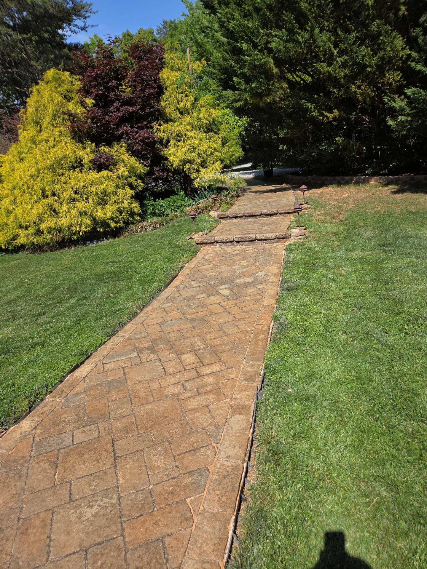 Brick garden path through green lawn, leading past shrubs and trees in sunlight