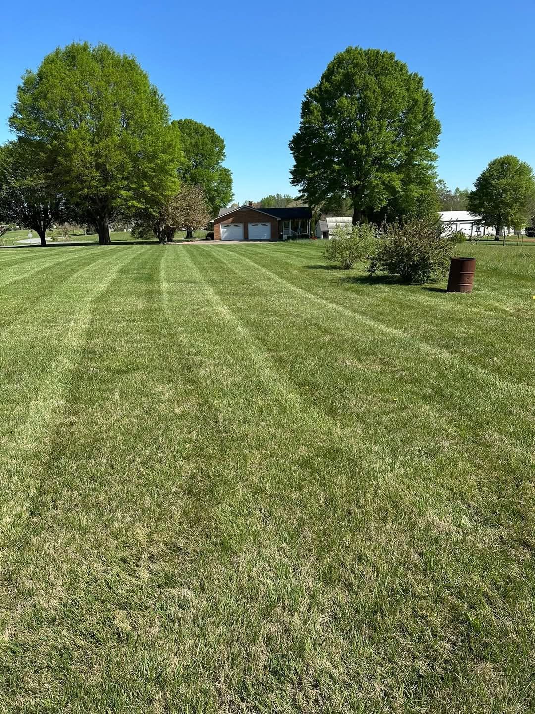 Wide mowed lawn with tall green trees and a small house in the distance under a bright blue sky