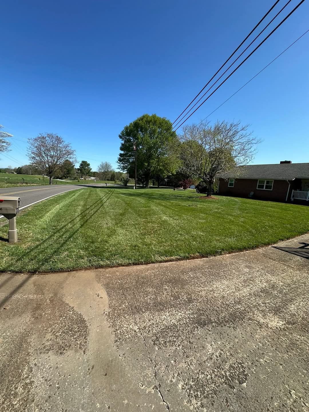 Grassy front yard beside a road, with a brick house, trees, and power lines under a clear blue sky.