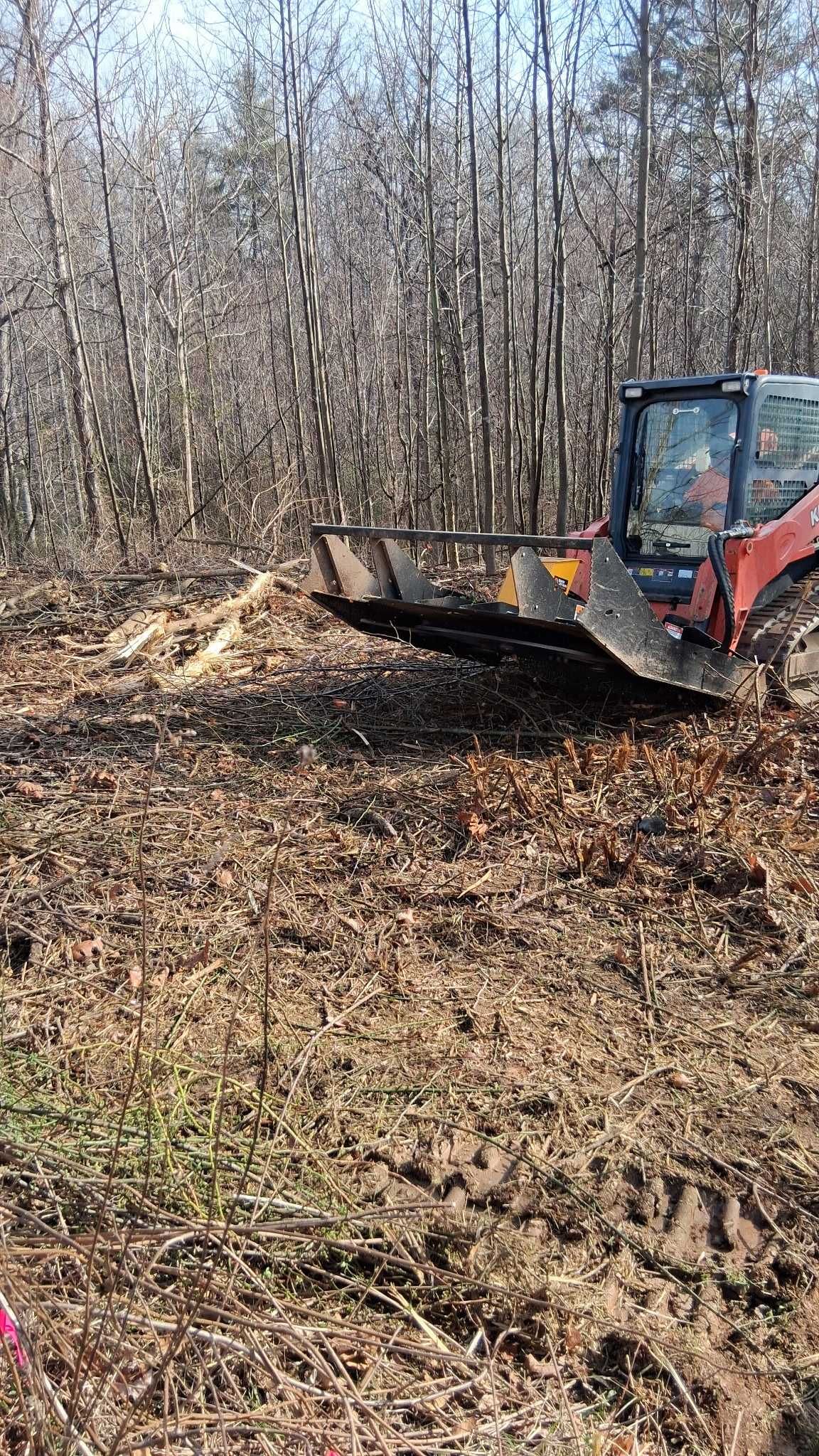 Red tractor clearing leaves in a wooded area on a sunny day
