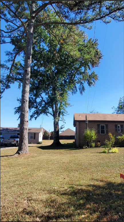Backyard with tall trees, grassy lawn, and a small brick house under a blue sky