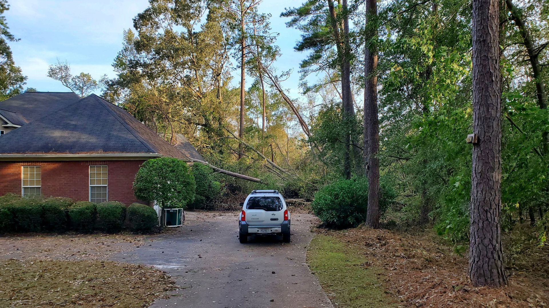 White SUV on a driveway beside a brick house, surrounded by tall trees and autumn leaves.