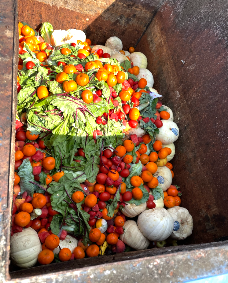 Overflowing metal dumpster filled with discarded oranges, tomatoes, and vegetables.