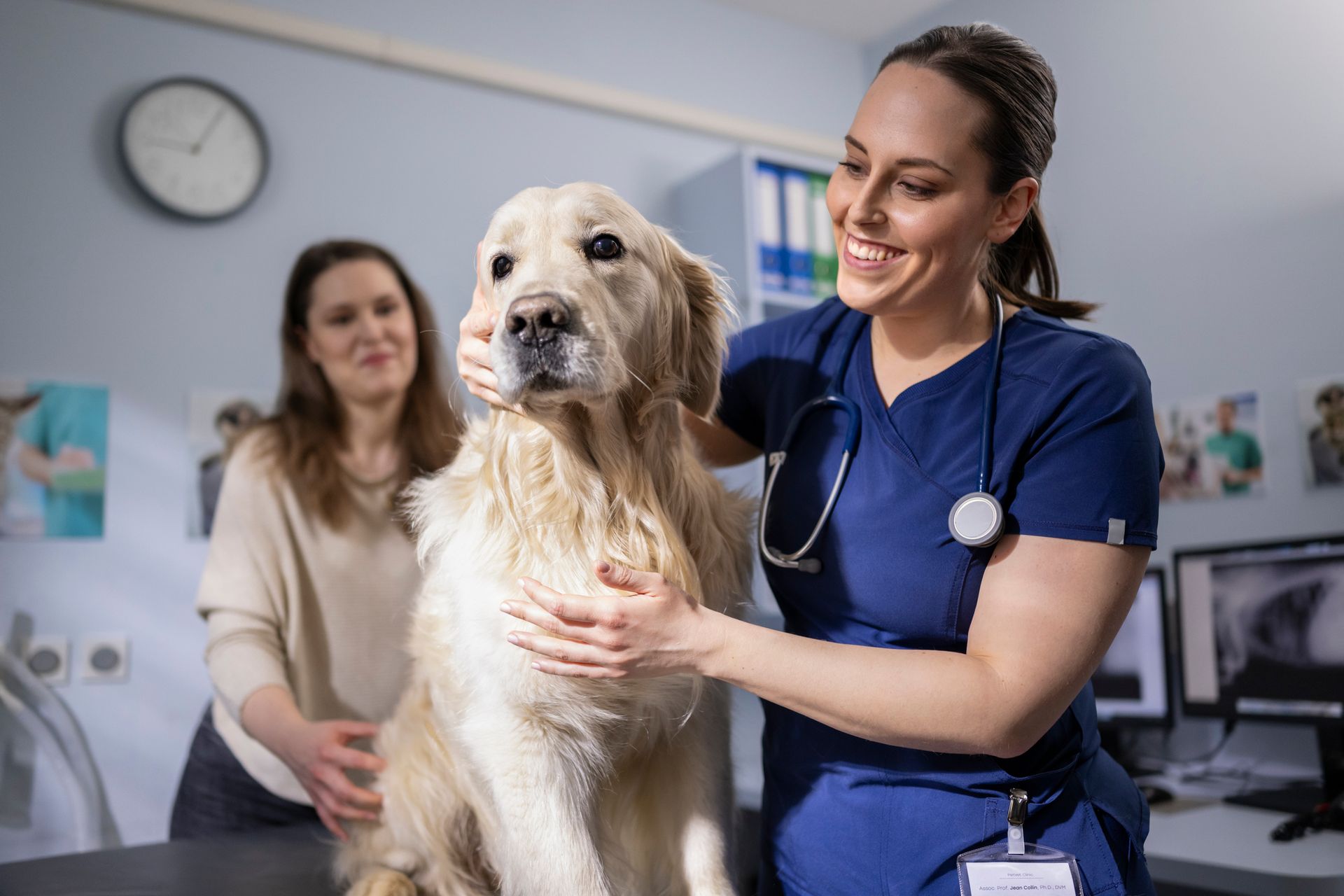 Golden Retriever treated with compound medicine by female vet | Keperra, QLD | Keperra Compounding