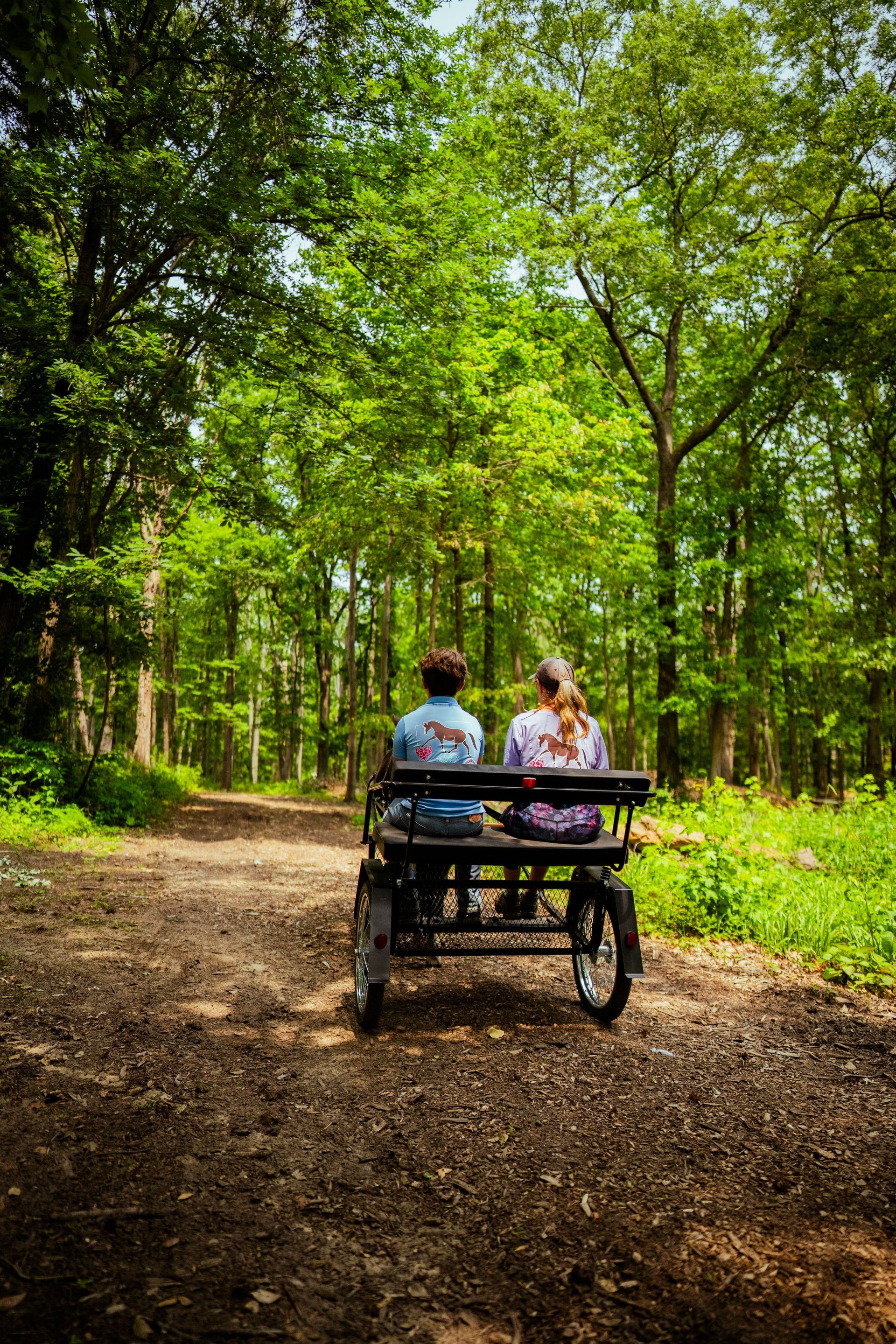 Two people are sitting on a bench in the woods.