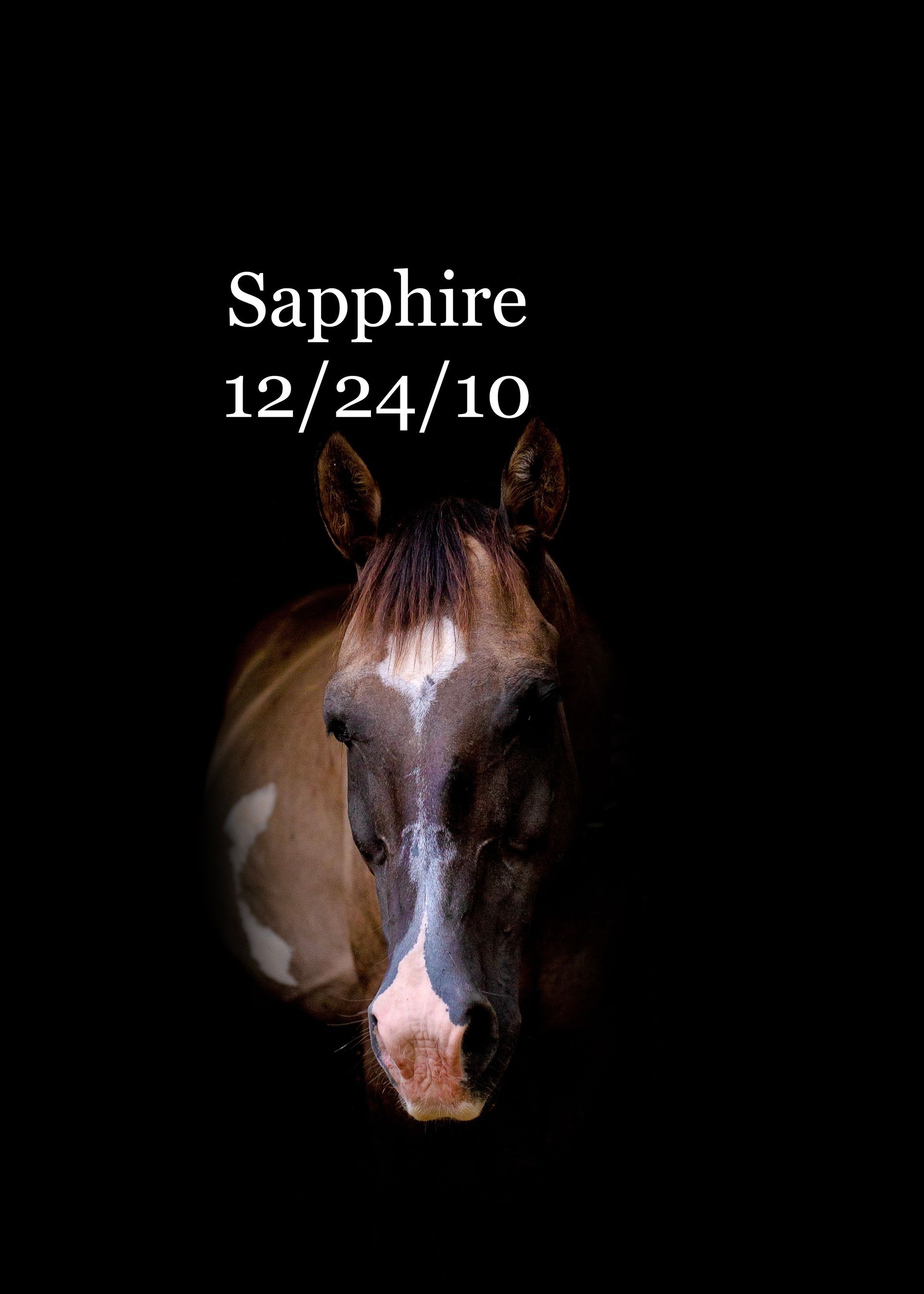 A close up of a horse 's face with the words `` sapphire '' written above it.