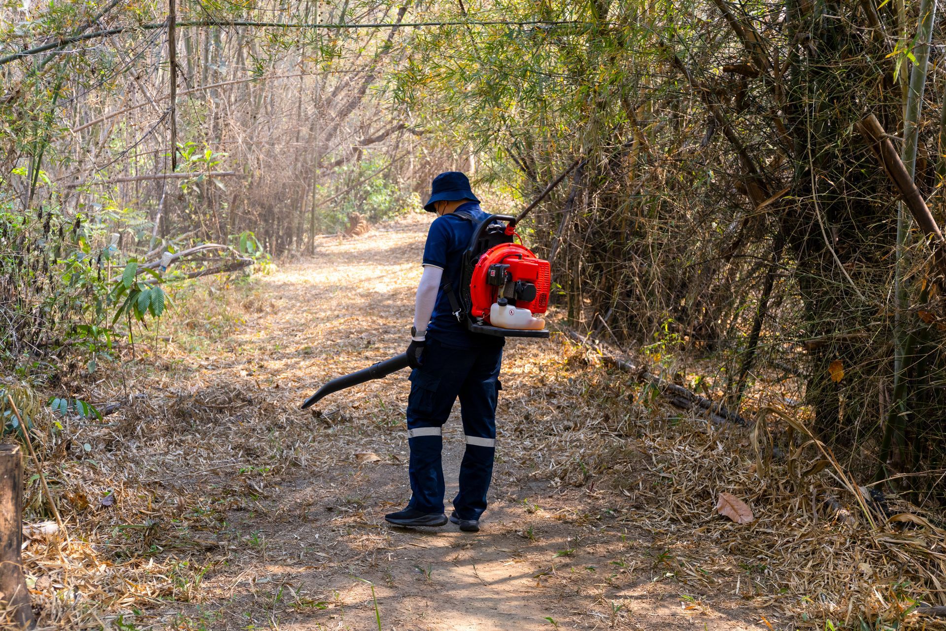 Person using a leaf blower on a wooded path among dry brush