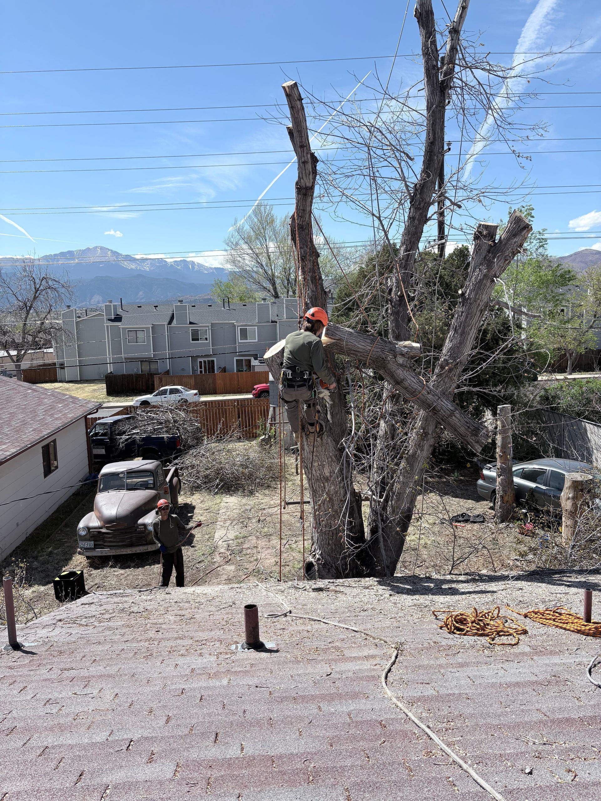 Tree trimming beside a rooftop, with a worker in a red helmet and mountains in the background