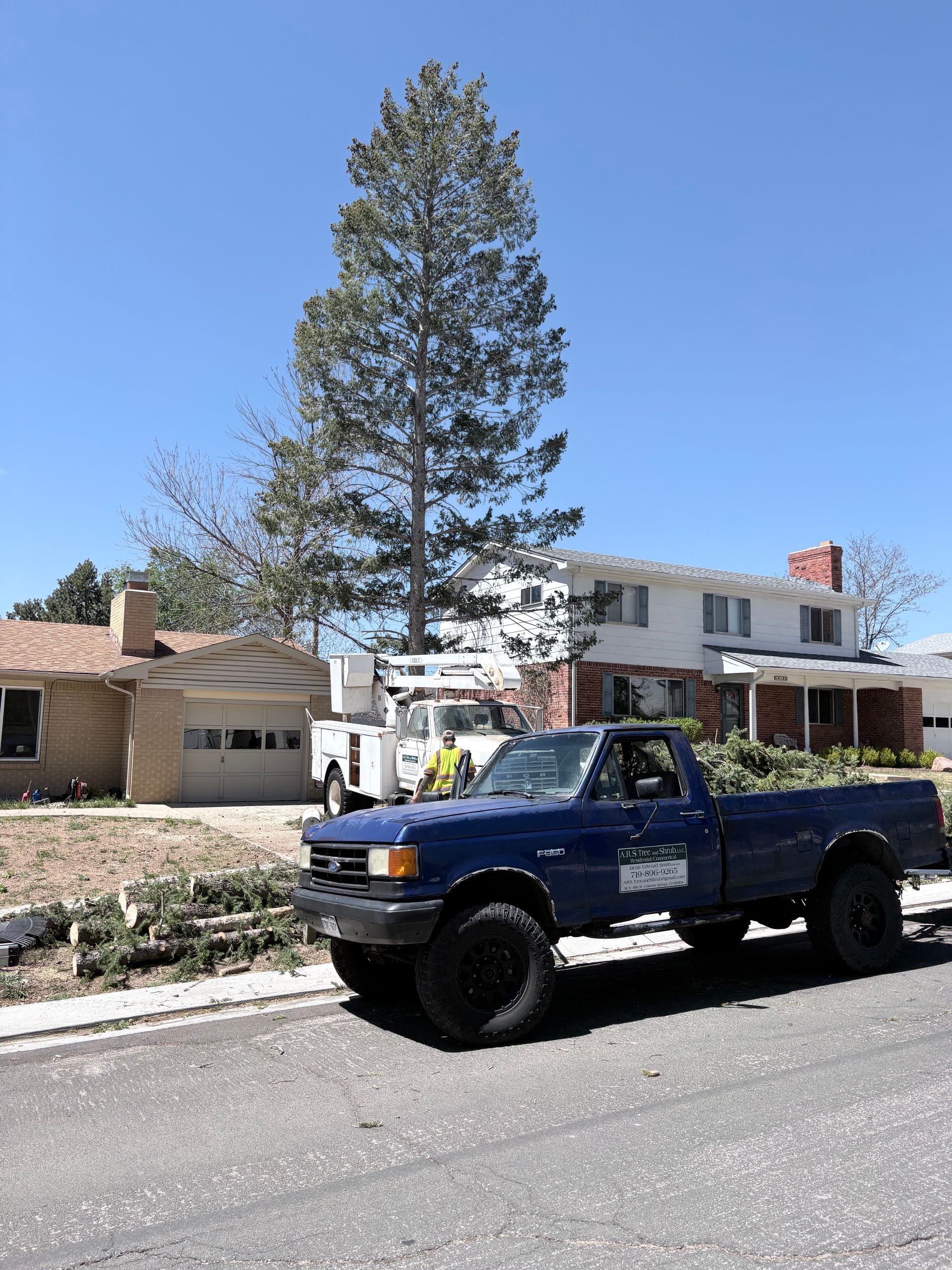 Blue pickup truck parked on a suburban street in front of houses and a tall tree under a clear sky