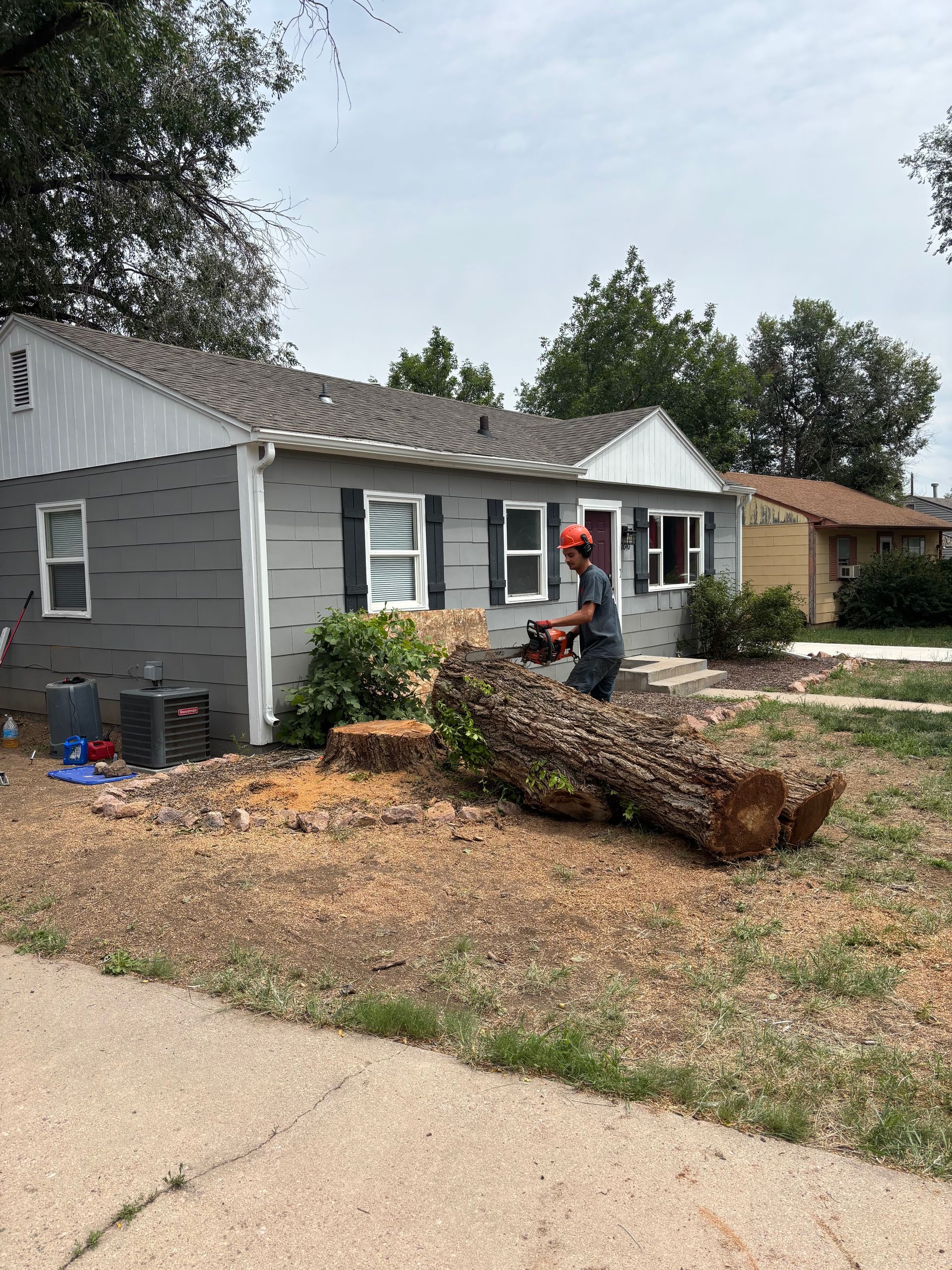 Worker cutting a large fallen tree trunk beside a gray house in a suburban yard