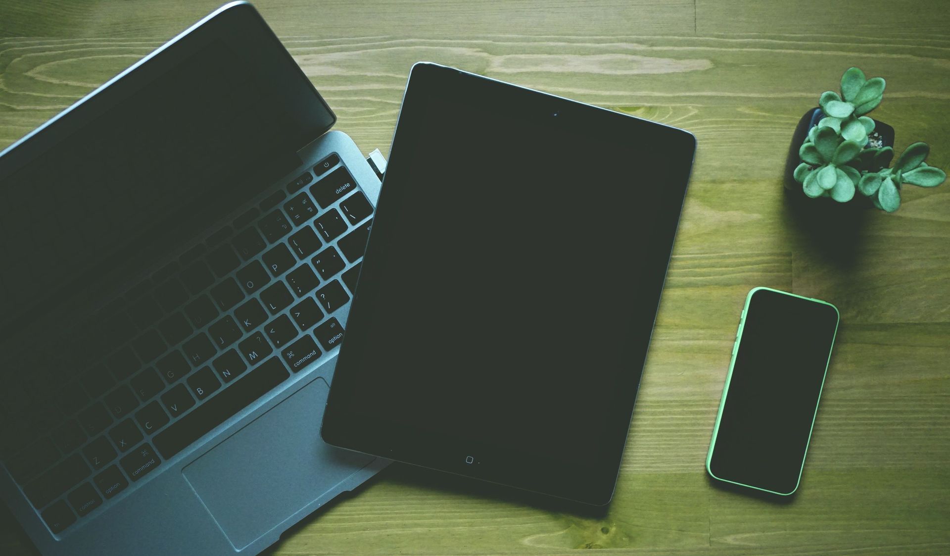 Laptop, tablet, and smartphone on a wooden desk beside a small plant.