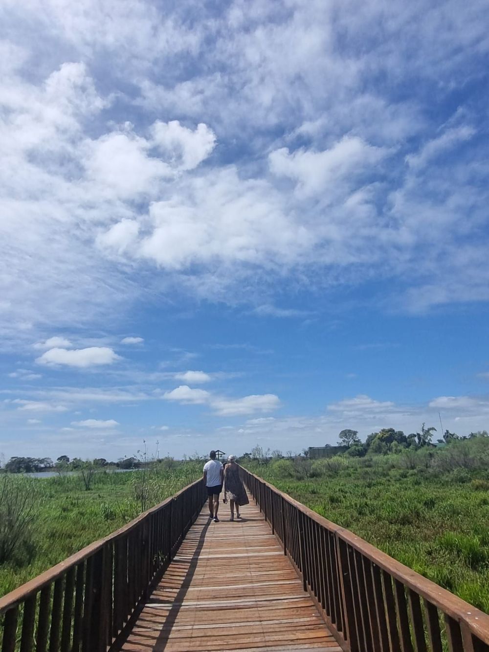 Dos personas caminan por un puente de madera a través de un pantano verde bajo un cielo azul y nublado.