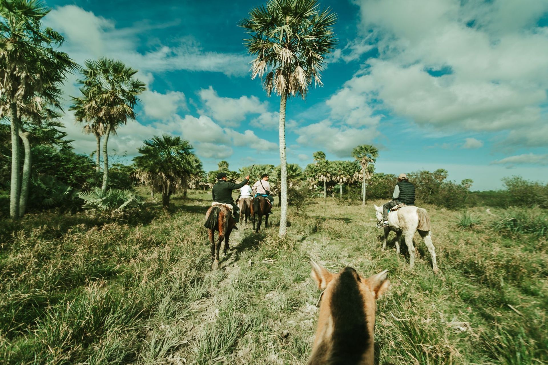 Jinetes a caballo en una sabana cubierta de hierba con palmeras bajo un cielo azul nublado.
