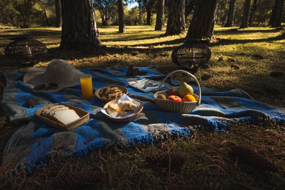 Un picnic preparado sobre una manta azul en un parque arbolado, con comida, bebidas y cestas bajo la cálida luz del sol.