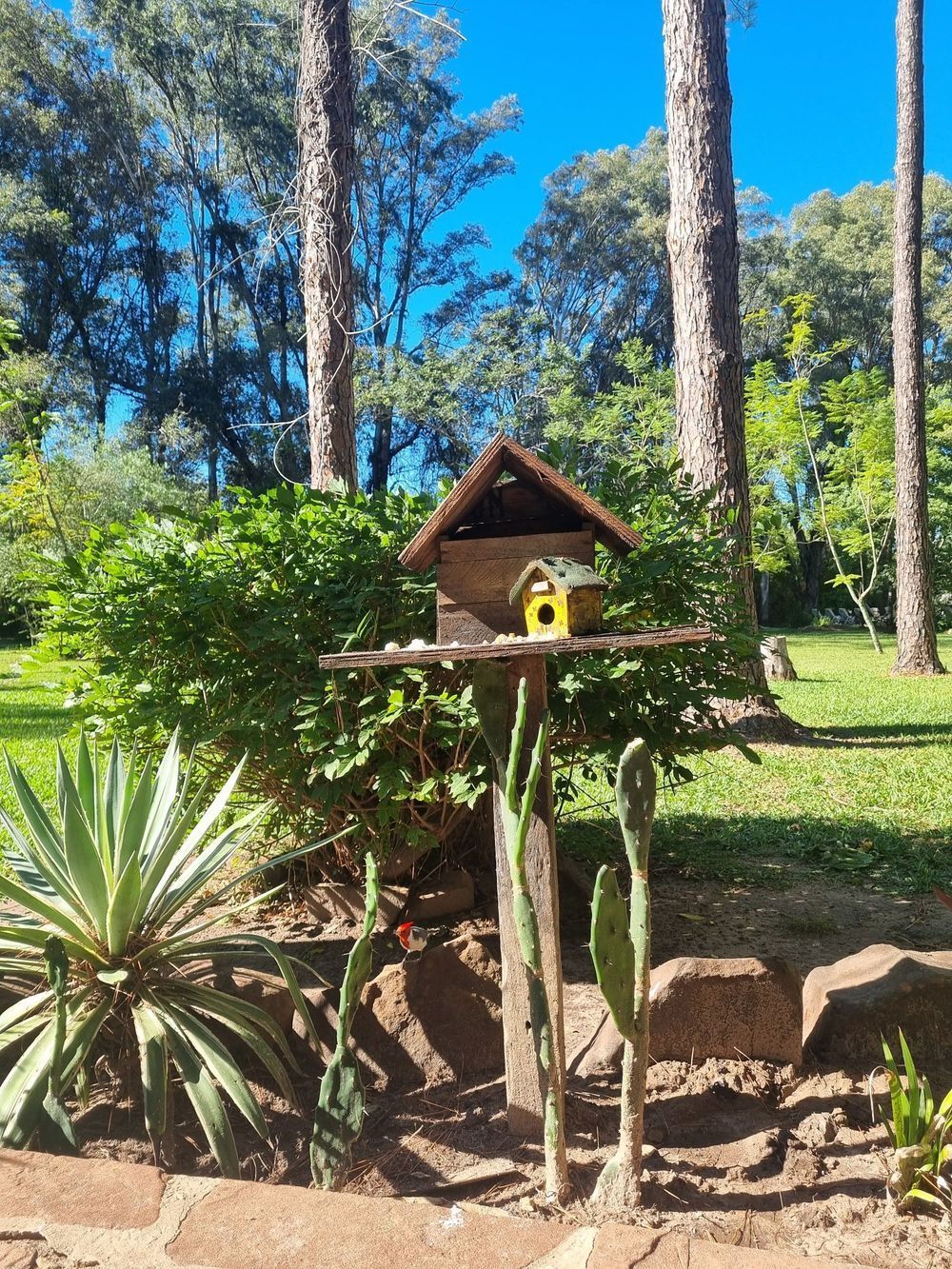 Pequeño comedero de madera para pájaros sobre un soporte en un jardín soleado con árboles y arbustos.