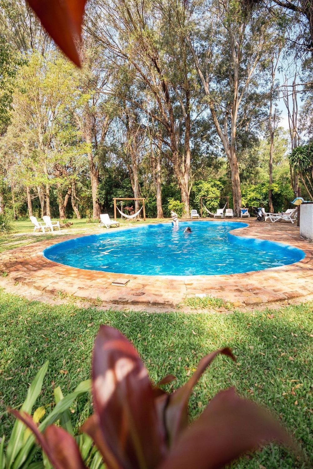 Piscina azul en un parque frondoso, con tumbonas y árboles a su alrededor.