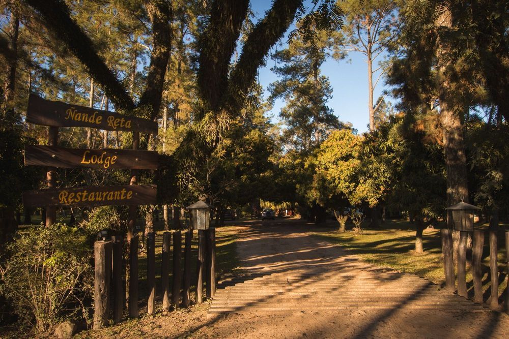 Camino de tierra bordeado de árboles con puerta de madera y cartel rústico bajo la cálida luz del sol.