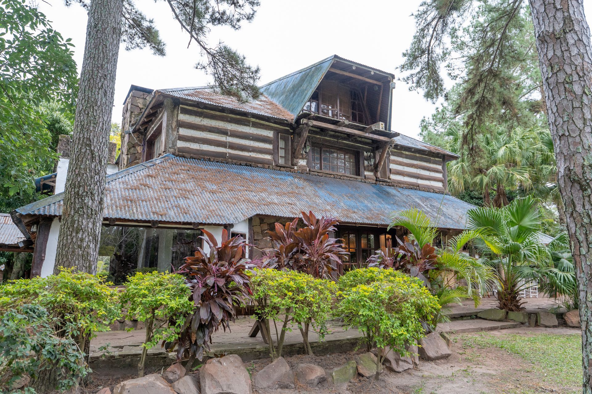 Casa rústica de madera con techo de paja en medio de exuberante vegetación tropical y árboles.
