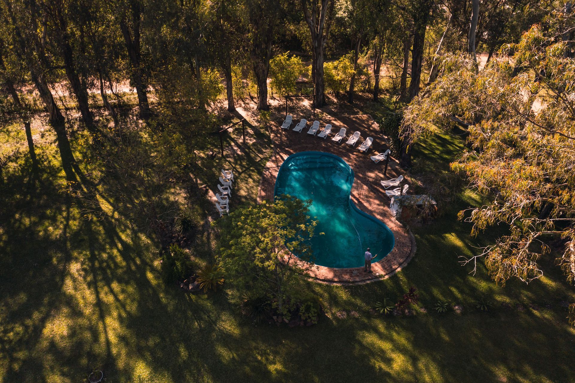 Vista aérea de una piscina en un patio trasero rodeada de árboles y tumbonas bajo la cálida luz del sol.