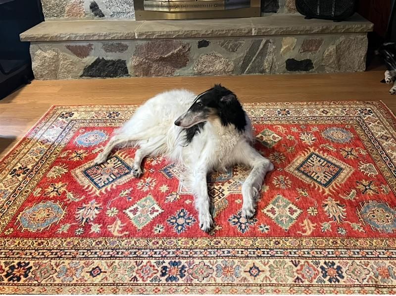 Abstract Carpet Design — Milwaukee, WI — Shabahang and Sons Persian Carpets