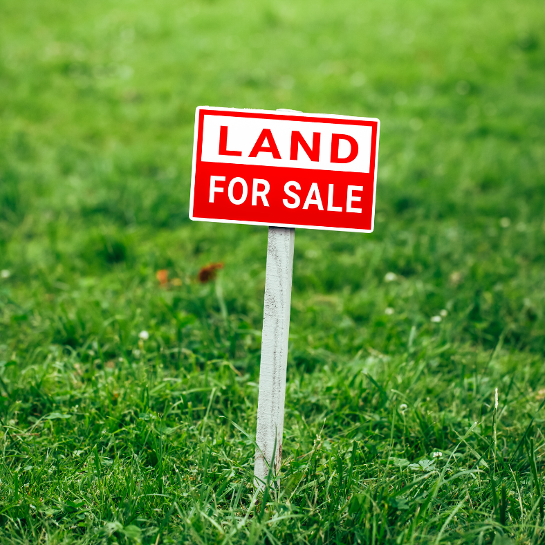 We Buy Land for Cash