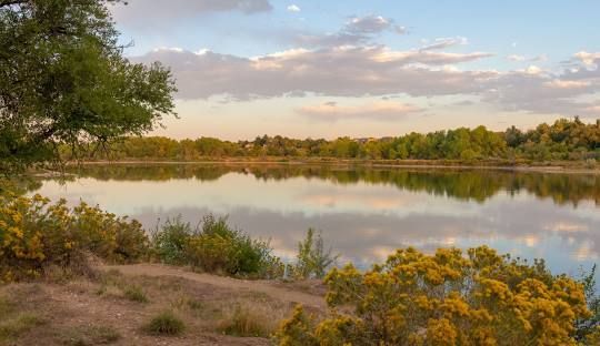 We Buy Wheat Ridge, CO Homes Fast for Cash
