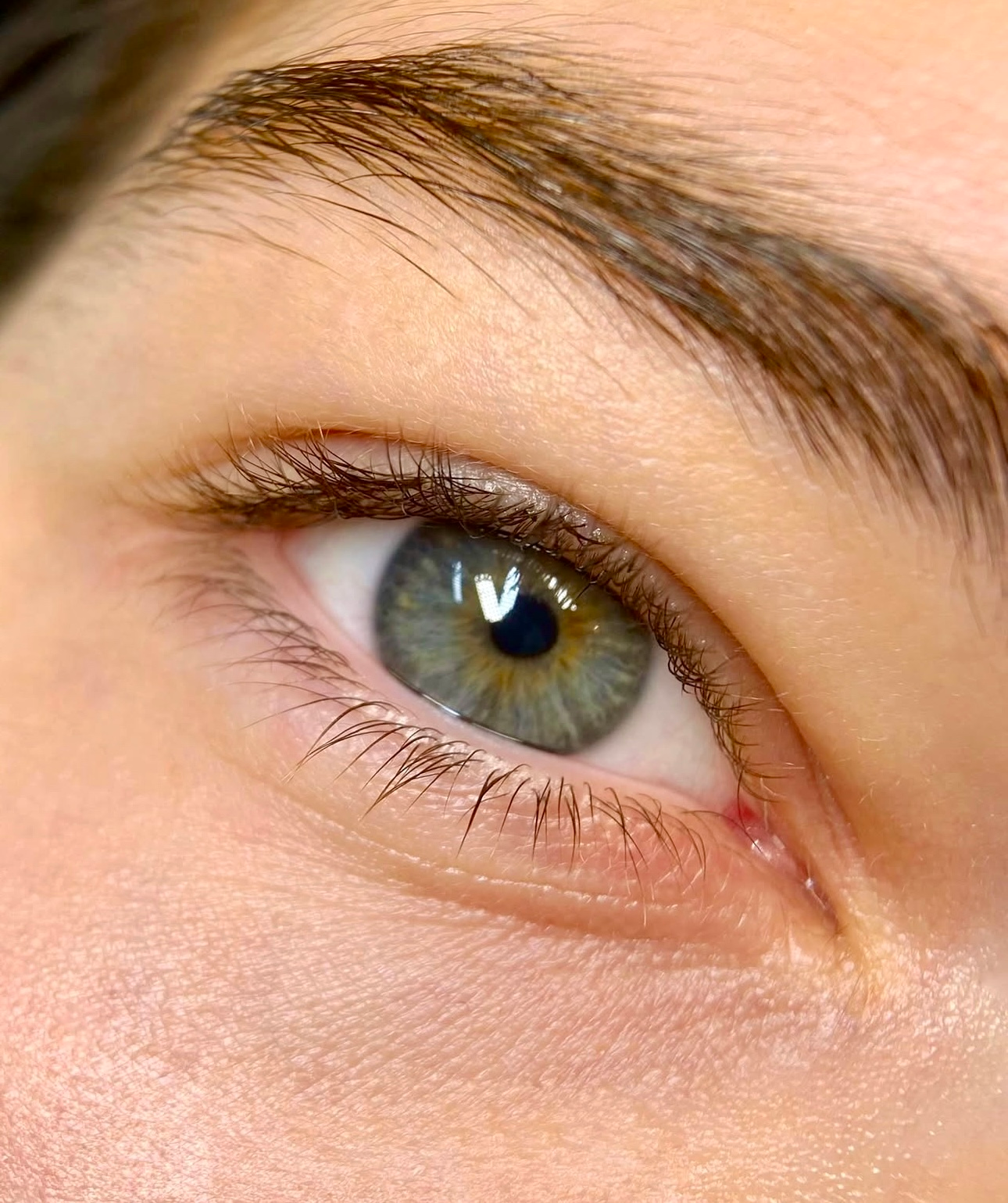 A close up of a woman 's green eye