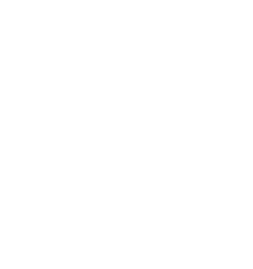 Solo Logo in Footer - linked to home page