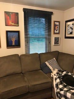 A living room with a couch and a window with blinds.