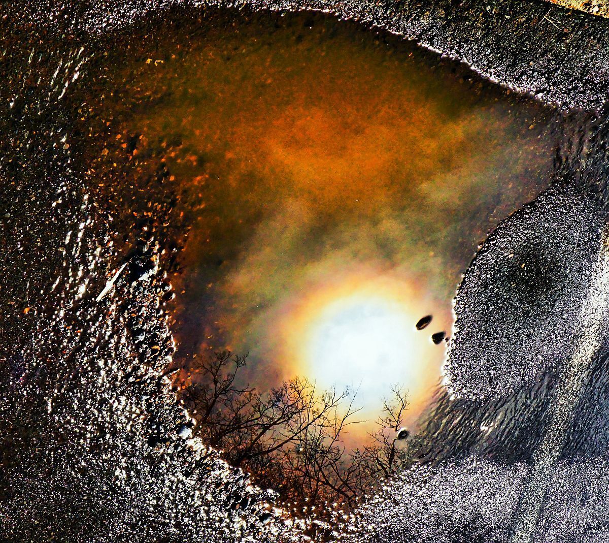 The sun is reflected in a puddle of water