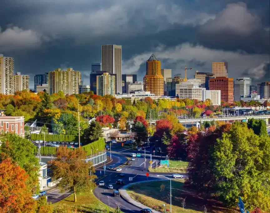 City skyline framed by fall foliage, under a cloudy sky.