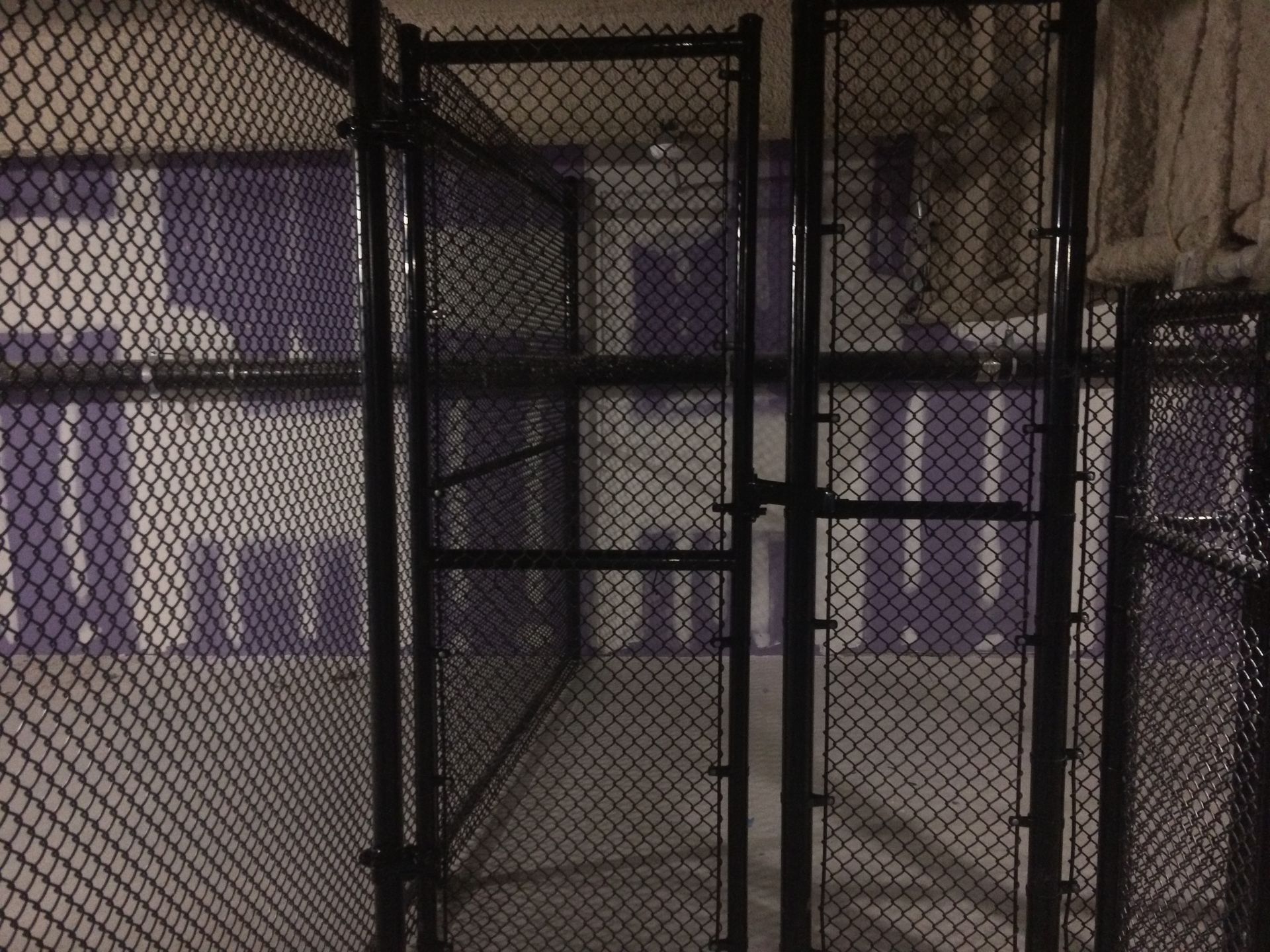 Metal chain link fenced enclosure, inside view. Purple wall in background.