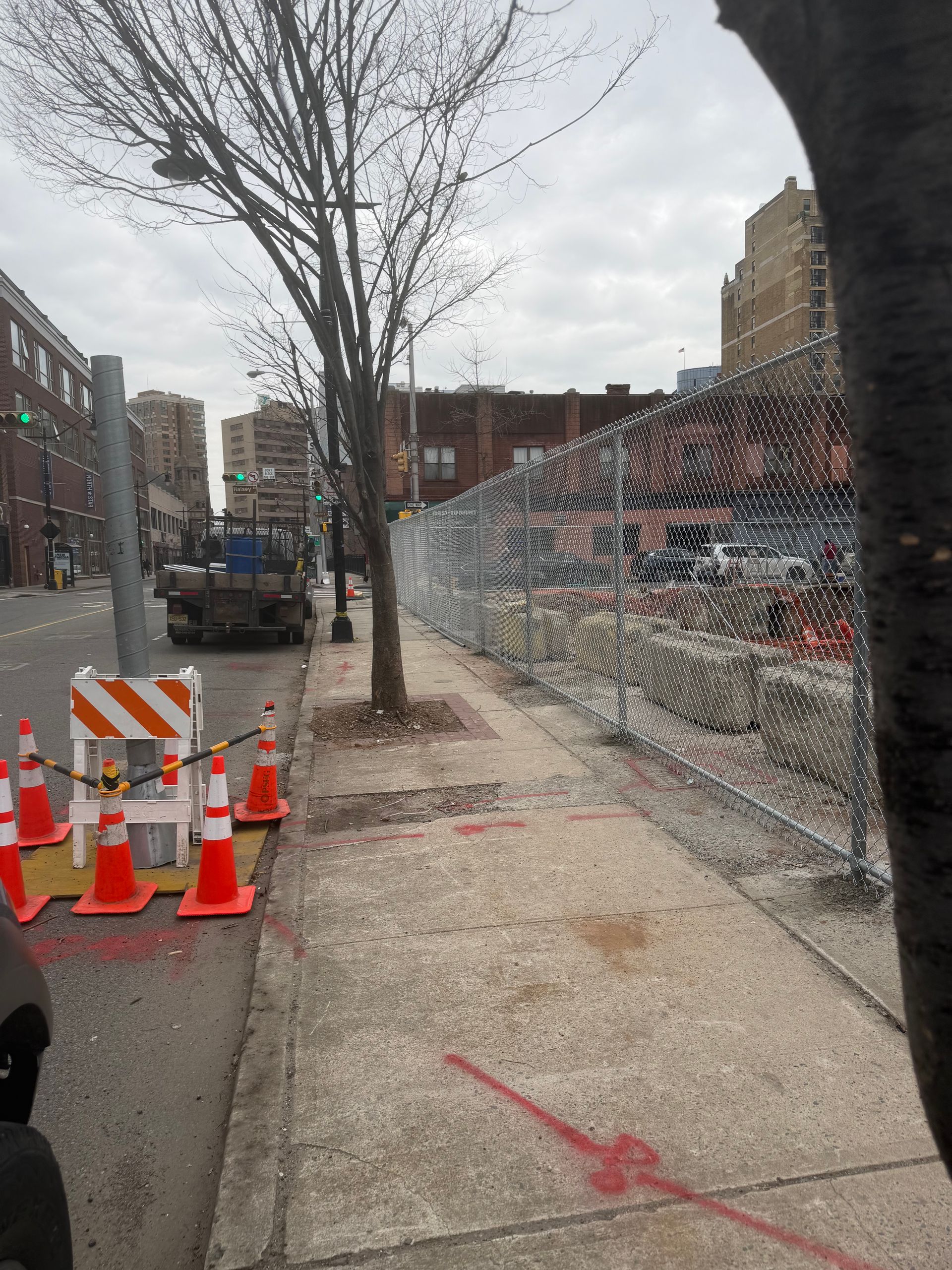 A sidewalk view showing a fenced-off construction area, orange traffic cones, and a tree on a cloudy day.
