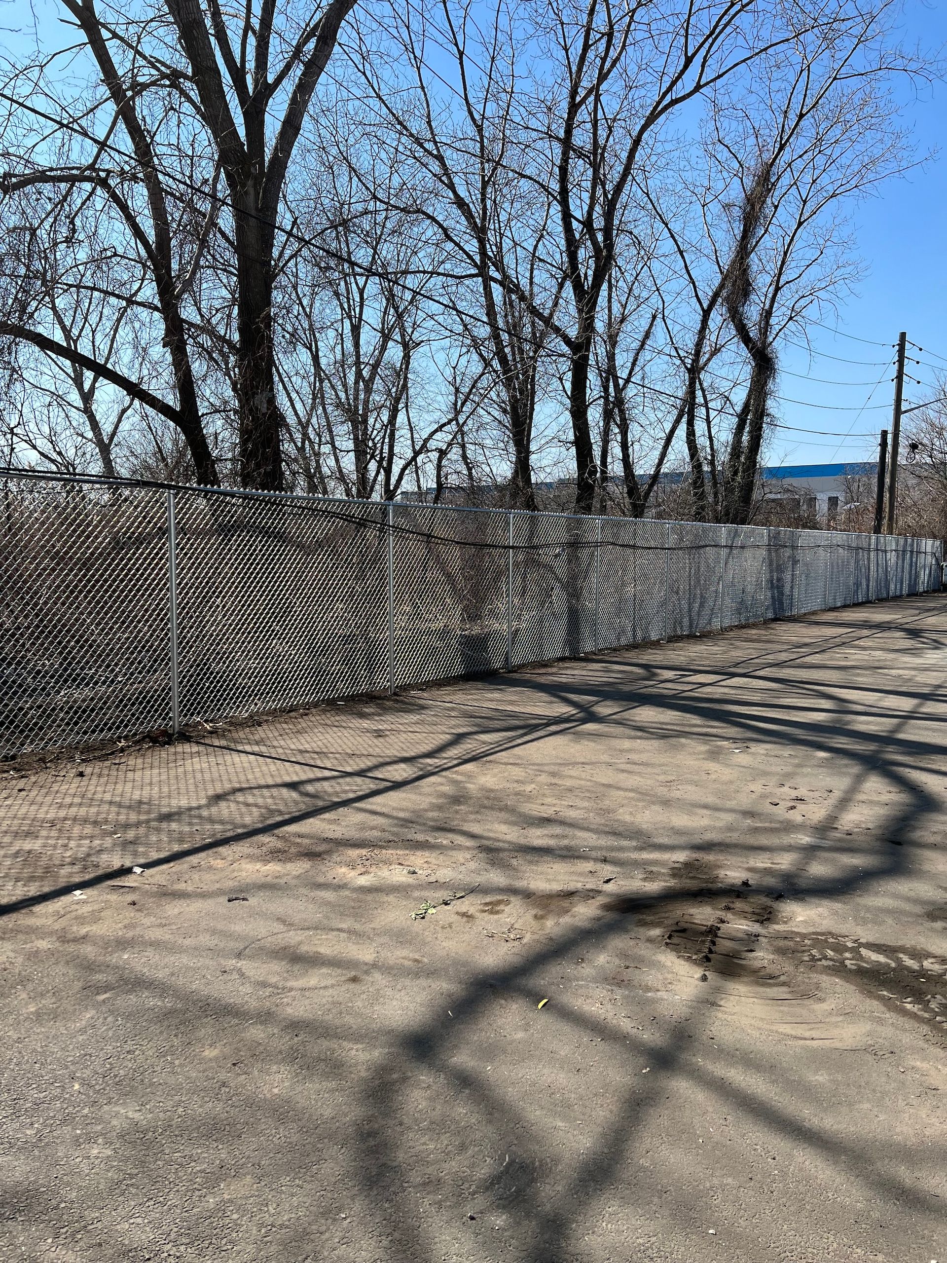 Fence with fingerprint design along a street, with bare trees and a clear sky.