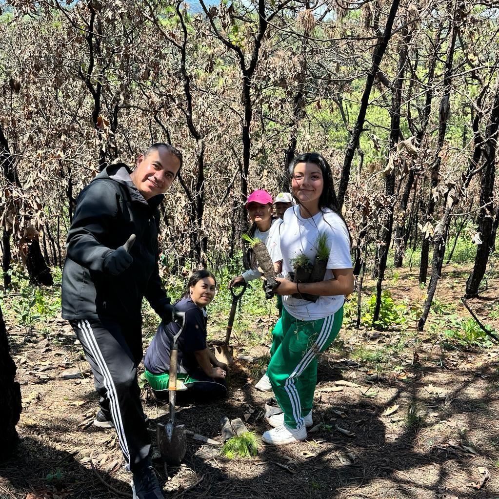 Reforestación Trabajo comunitario