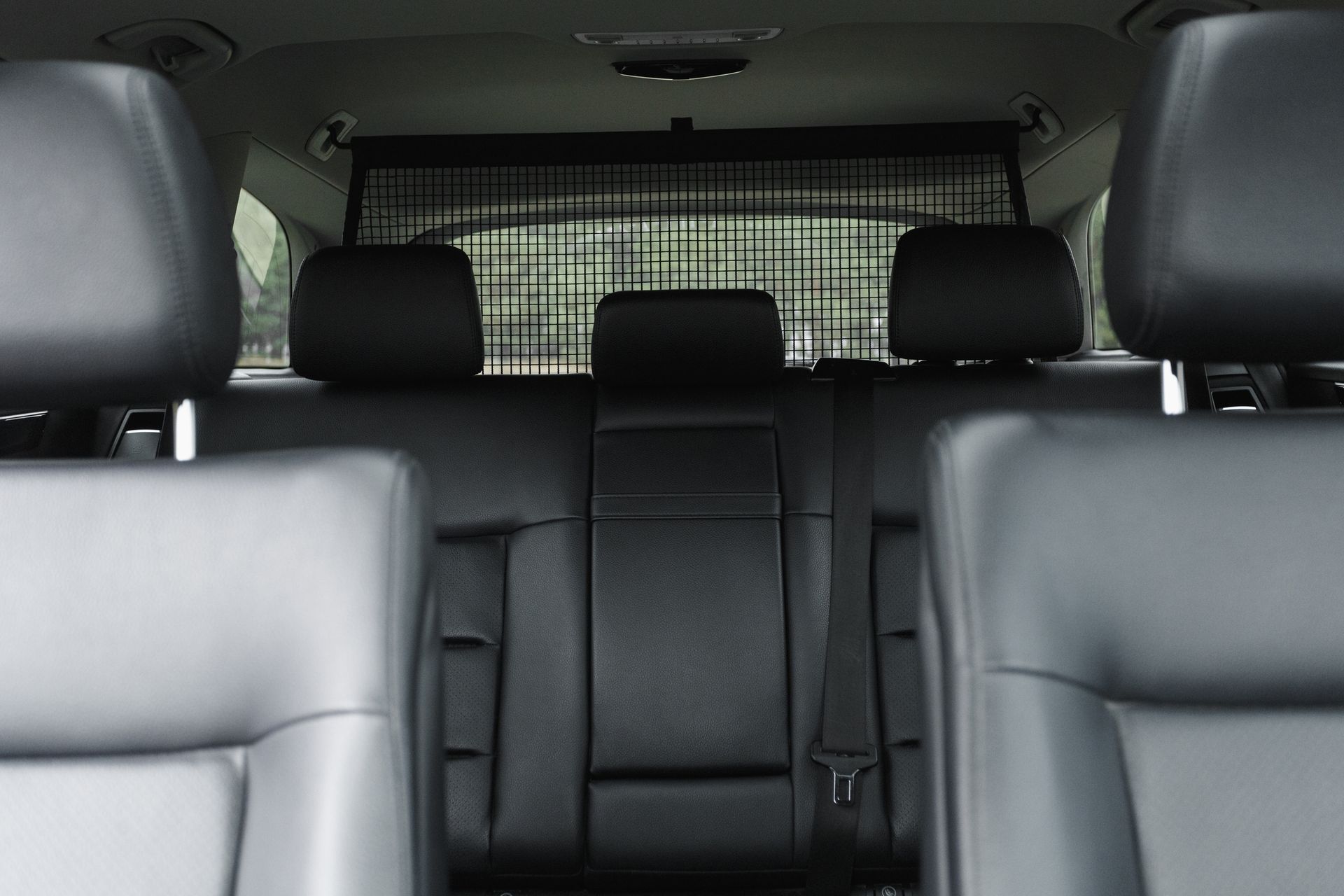 The back seat of a car with a grille between the seats