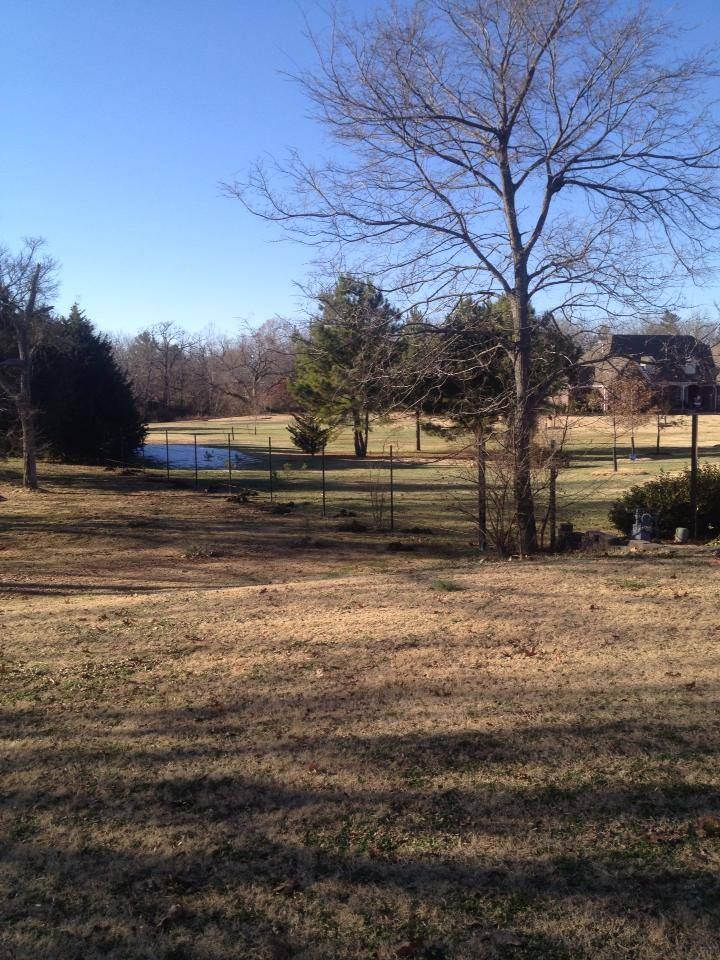 A large grassy field with trees and a house in the background