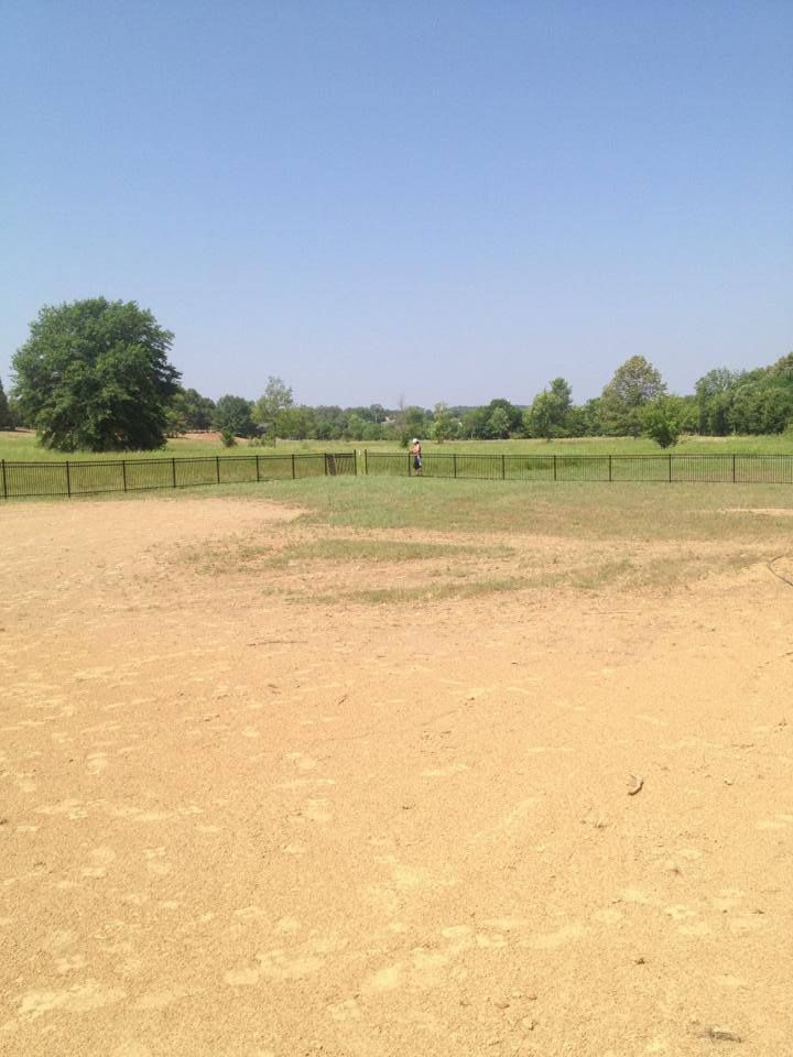 An empty field with a fence and trees in the background on a sunny day.