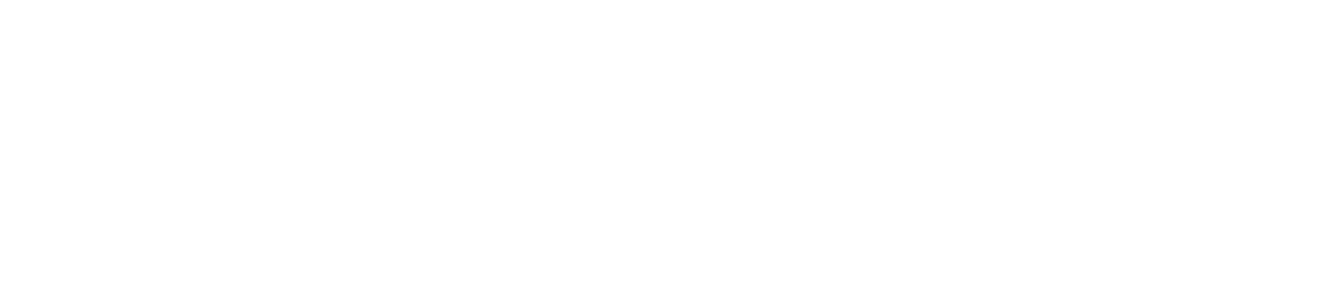 North Star HR Solutions logo in purple and gray text with a gold star accent