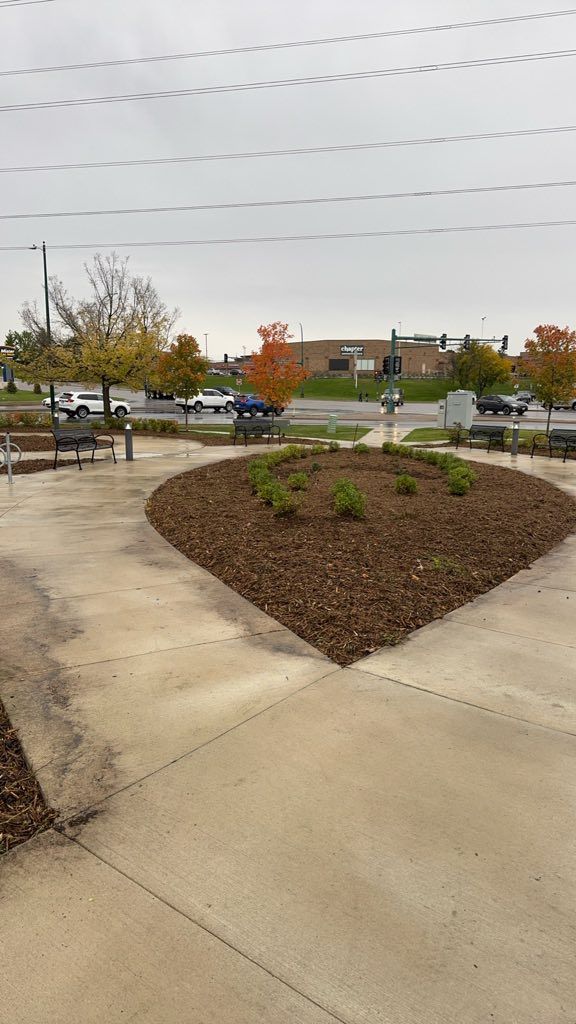 A paved path leads toward a teardrop-shaped garden bed covered in dark mulch with small green shrubs on an overcast day.