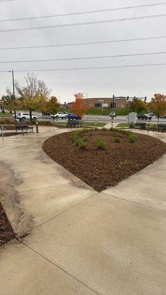 A landscaped area with a teardrop-shaped garden bed of mulch and small shrubs, surrounded by concrete walkways and trees.