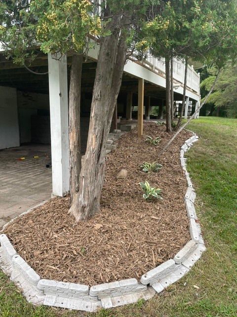 Mulched garden bed with trees and a white retaining border beside a covered building walkway