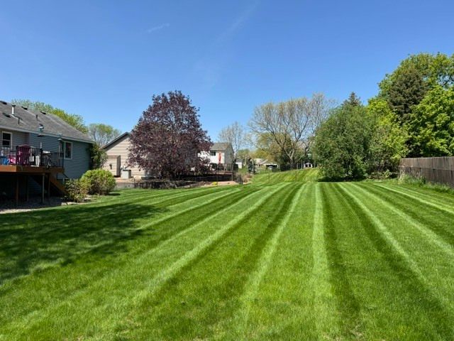 Wide striped green lawn in a suburban backyard under a clear blue sky