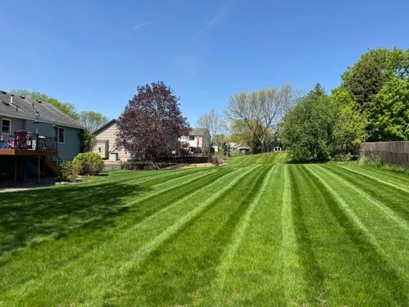 A sunlit backyard lawn extends toward a house with a wooden deck, bordered by trees under a clear blue sky.