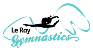 Le Ray gymnastics uses the Aretex hybrid accounting model to implement effective and timely financial management across their growing multi-site business.